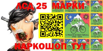 крисы Будённовск