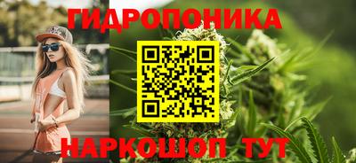 крисы Будённовск