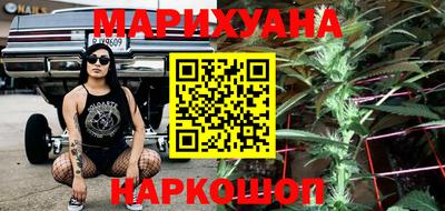 крисы Будённовск