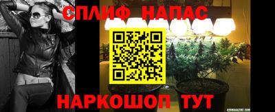 крисы Будённовск