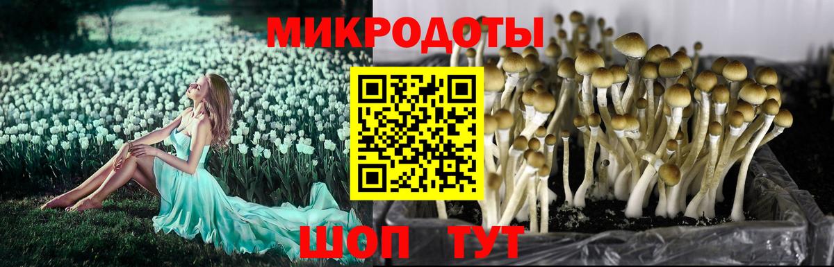 Галлюциногенные грибы прущие грибы  Вход с VPN  наркота  Котельники 