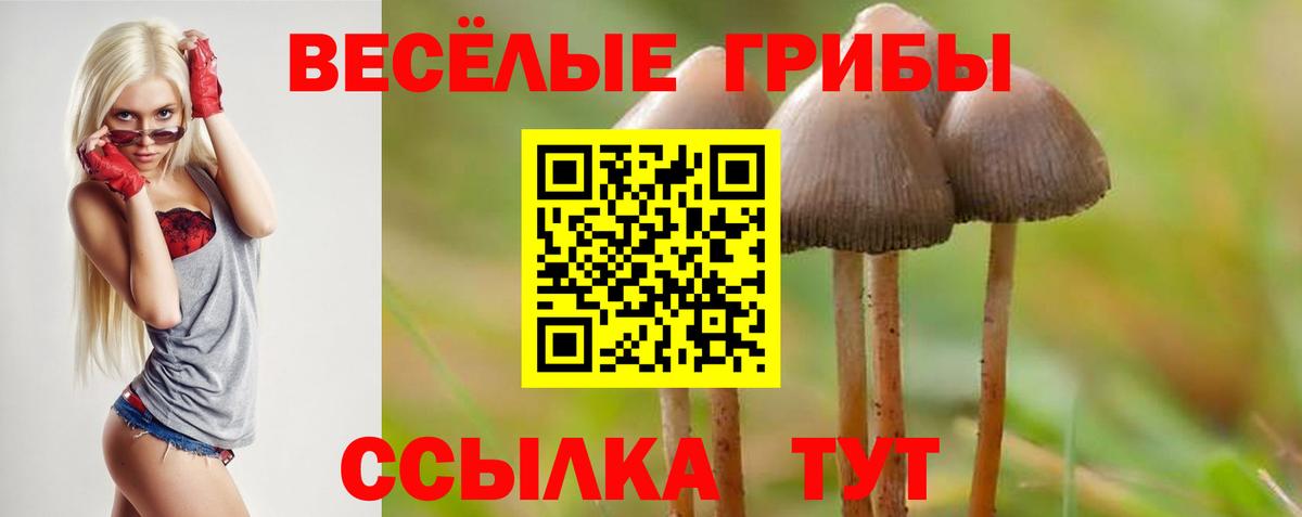 Галлюциногенные грибы Cubensis Котельники